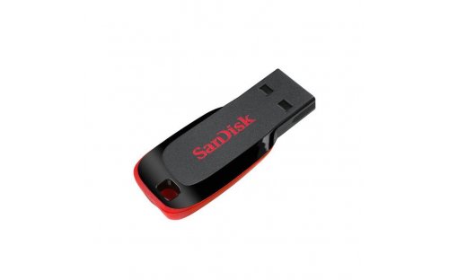 SanDisk 32GB Flash Drive